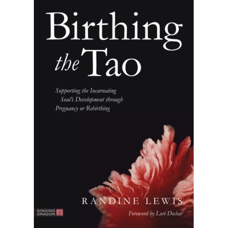 Birthing the Tao: Supporting the Incarnating Soul's Development through Pregnancy or Rebirthing