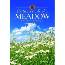 The Secret Life of a Meadow