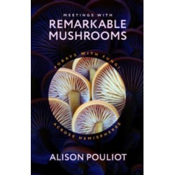 Meetings with Remarkable Mushrooms: Forays with Fungi across Hemispheres