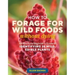 How to Forage for Wild Foods without Dying: An Absolute Beginner's Guide to Identifying 40 Edible Wild Plants