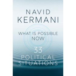 What is Possible Now: 33 Political Situations