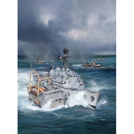 The Royal Navy and Fishery Protection: From the Fourteenth Century to the Present