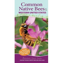 Common Native Bees of the Western United States: Your Way to Easily Identify Bees and Look-Alikes