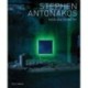 Stephen Antonakos: Neon and Geometry