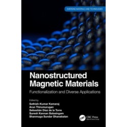 Nanostructured Magnetic Materials: Functionalization and Diverse Applications