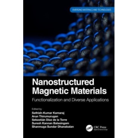 Nanostructured Magnetic Materials: Functionalization and Diverse Applications
