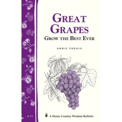 Great Grapes: Grow the Best Ever / Storey's Country Wisdom Bulletin A-53