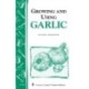 Growing and Using Garlic: Storey's Country Wisdom Bulletin A-183