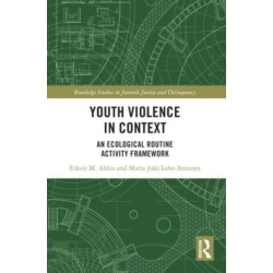 Youth Violence in Context: An Ecological Routine Activity Framework