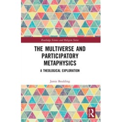 The Multiverse and Participatory Metaphysics: A Theological Exploration