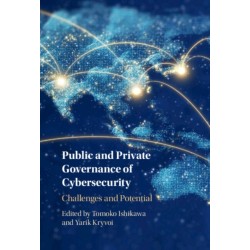 Public and Private Governance of Cybersecurity: Challenges and Potential