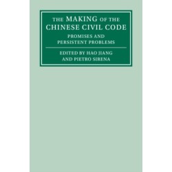 The Making of the Chinese Civil Code: Promises and Persistent Problems