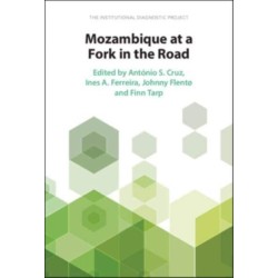 Mozambique at a Fork in the Road: The Institutional Diagnostic Project