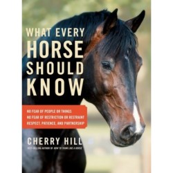 What Every Horse Should Know: A Training Guide to Developing a Confident and Safe Horse
