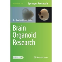 Brain Organoid Research