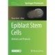 Epiblast Stem Cells: Methods and Protocols