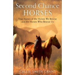 Second–Chance Horses – True Stories of the Horses We Rescue and the Horses Who Rescue Us