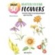 Paint 50: Watercolour Flowers: From Basic Shapes to Amazing Paintings in Super-Easy Steps