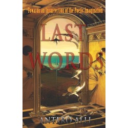 Last Words: Towards an Insurrection of the Poetic Imagination