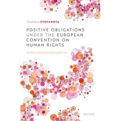 Positive Obligations under the European Convention on Human Rights: Within and Beyond Boundaries