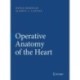 Operative Anatomy of the Heart