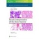 Biopsy Interpretation of the Bone Marrow: Print + eBook with Multimedia