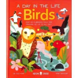 Birds (A Day in the Life): What Do Flamingos, Owls, and Penguins Get Up To All Day?