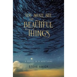 You Shall See the Beautiful Things – A Novel & A Nocturne
