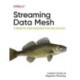 Streaming Data Mesh: A Model for Optimizing Real-Time Data Services
