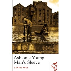 Ash on a Young Man's Sleeve