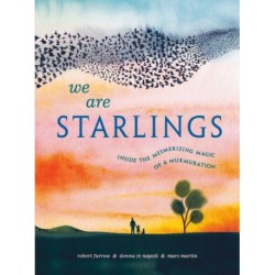 We Are Starlings: Inside the Mesmerizing Magic of a Murmuration