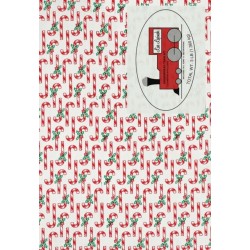 Lisa Lapinski: Miss Swiss