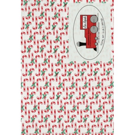 Lisa Lapinski: Miss Swiss