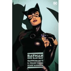 Batman: One Bad Day: Catwoman