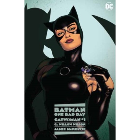 Batman: One Bad Day: Catwoman