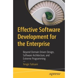 Effective Software Development for the Enterprise: Beyond Domain Driven Design, Software Architecture, and Extreme Programming