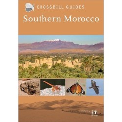 Southern Morocco