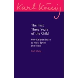 The First Three Years of the Child: How Children Learn to Walk, Speak and Think