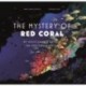 The Mystery of the Red Coral: My Investigation around the Mediterranean