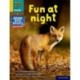 Read Write Inc. Phonics: Fun at night (Yellow Set 5 NF Book Bag Book 8)