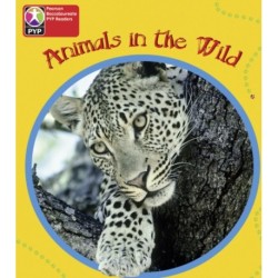 PYP L1 Animals in the Wild single