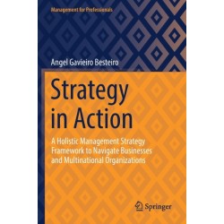 Strategy in Action: A Holistic Management Strategy Framework to Navigate Businesses and Multinational Organizations