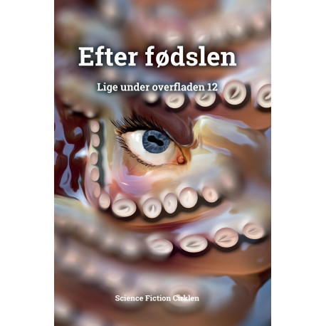 Efter fødslen: Lige under overfladen 13