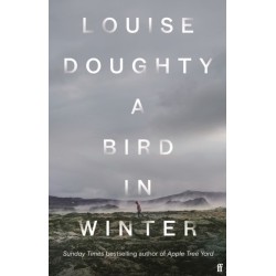 A Bird in Winter: 'Nail-bitingly tense and compelling' Paula Hawkins