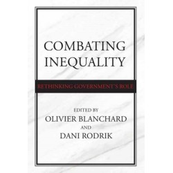 Combating Inequality: Rethinking Government's Role