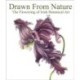 Drawn From Nature: The Flowering of Irish Botanical Art