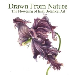 Drawn From Nature: The Flowering of Irish Botanical Art