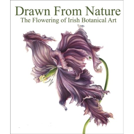 Drawn From Nature: The Flowering of Irish Botanical Art