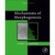 Mechanisms of Morphogenesis