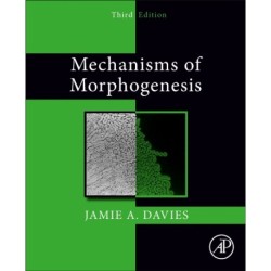 Mechanisms of Morphogenesis
